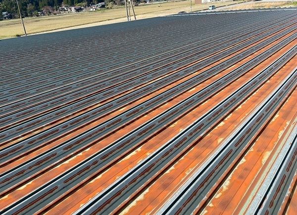 新潟市・大型店舗|屋根塗装工事 清潔感があり、日射率の高い明るい色へ塗り替え (1)