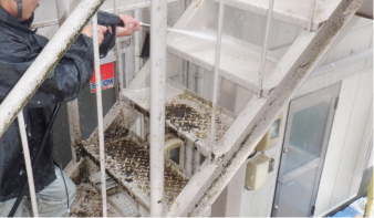 手すりなど鉄部の塗装