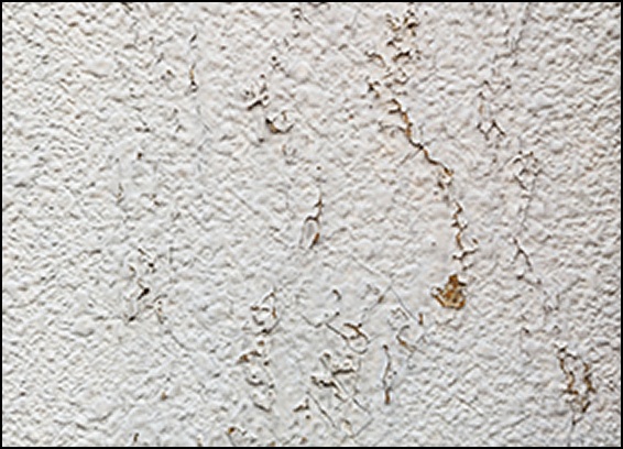 外壁のひび割れ