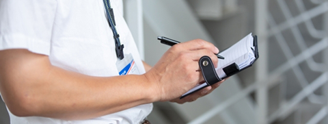 現地調査の様子