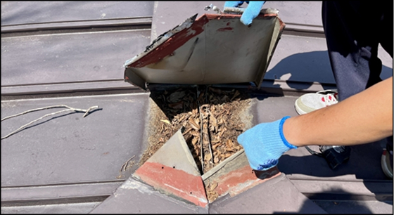 屋根板金の交換