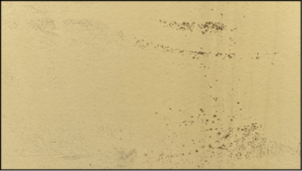 fw_normal 屋根や外壁の色褪せ・汚れ