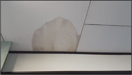 天井や壁のシミ