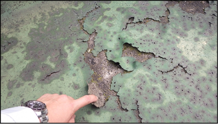 屋上の防水層の劣化