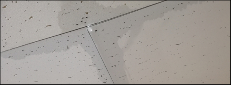 雨漏りしている天井